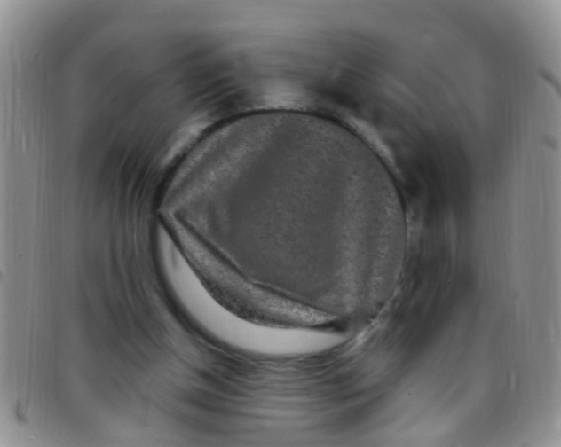 X0000097510154200803142049
