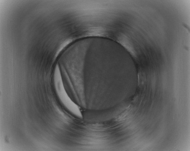 X0000097510156200803142049