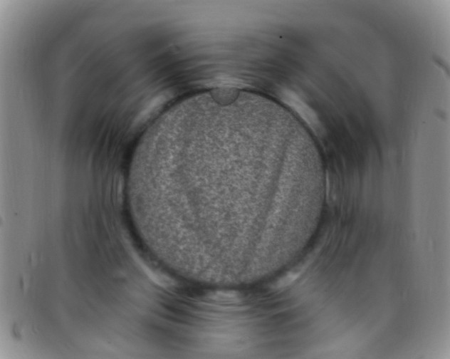 X0000097510157200803142049