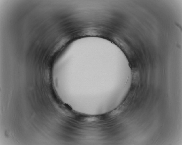 X0000097510158200803142049