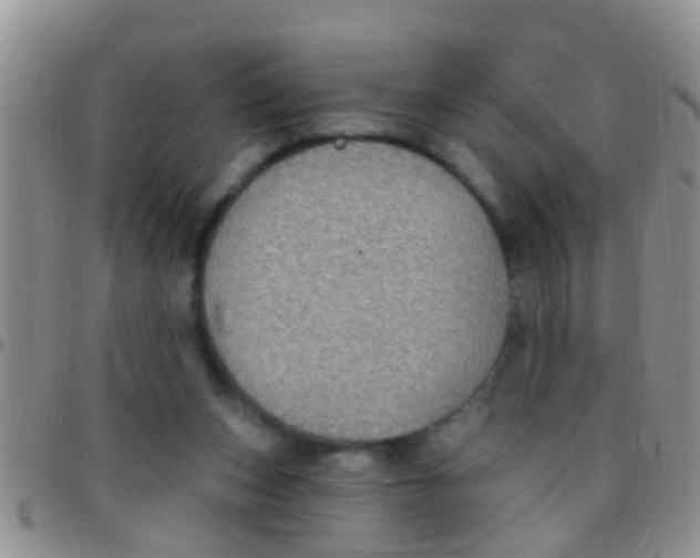 X0000097510159200803142049