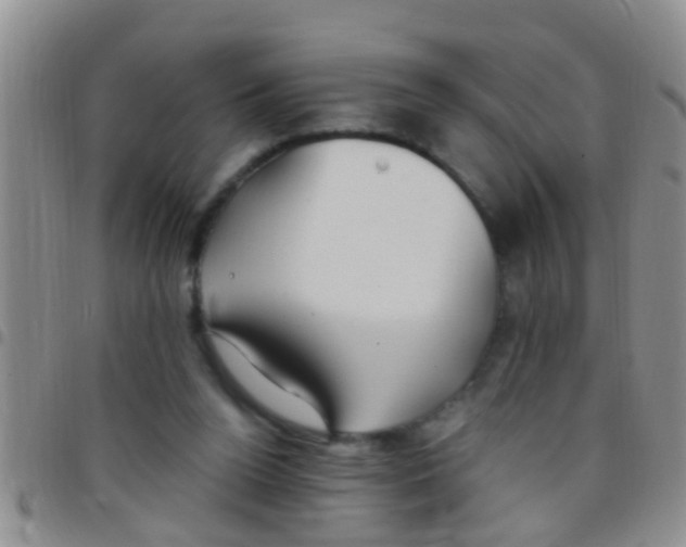 X0000097510160200803142049