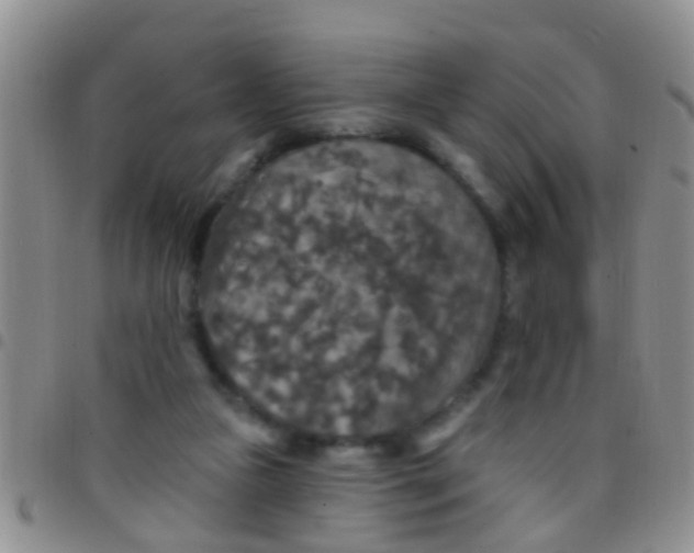 X0000097510161200803142049