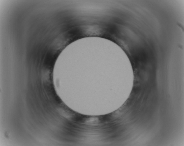 X0000097510162200803142049