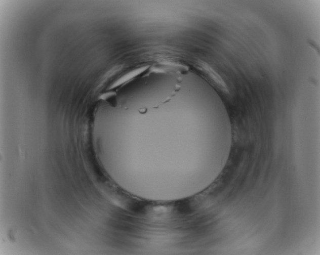 X0000097510163200803142049