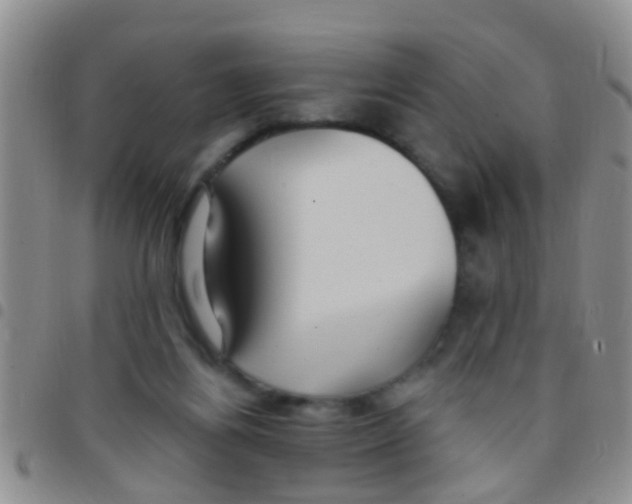 X0000097510164200803142049