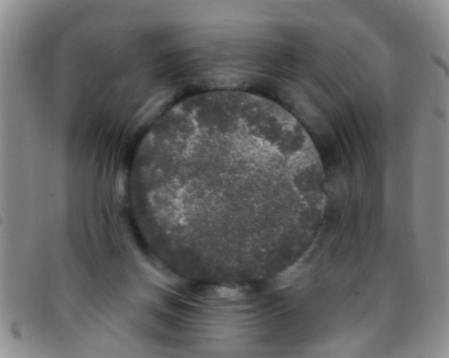 X0000097510166200803142049