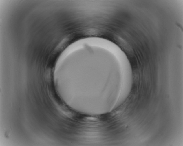 X0000097510167200803142049