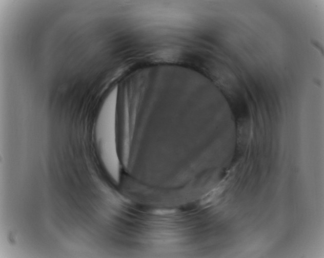 X0000097510168200803142049