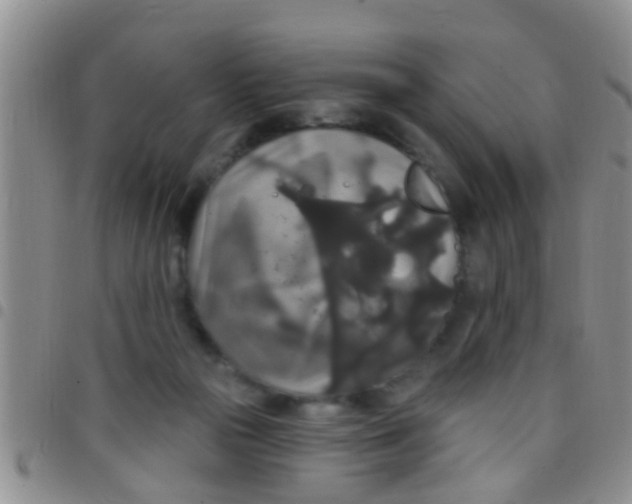 X0000097510169200803142049