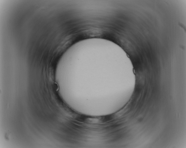 X0000097510170200803142049