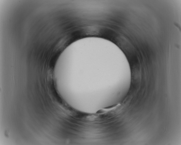 X0000097510172200803142049
