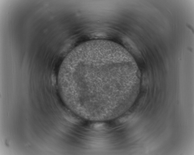 X0000097510173200803142049