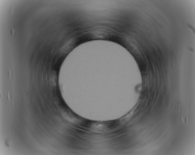 X0000097510174200803142049