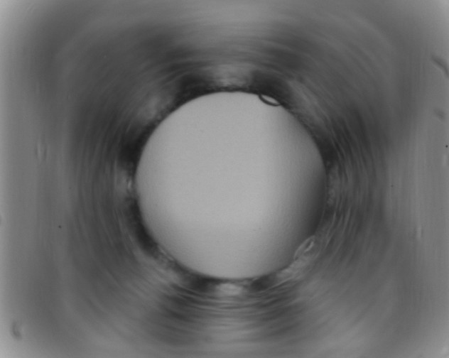 X0000097510176200803142049