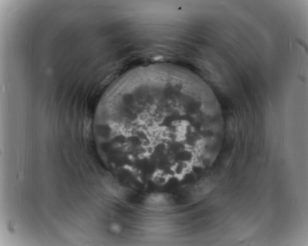 X0000097510177200803142049