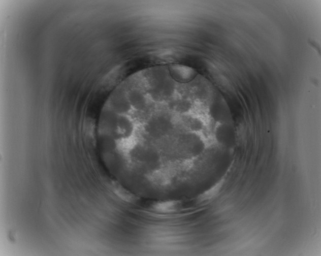 X0000097510178200803142049