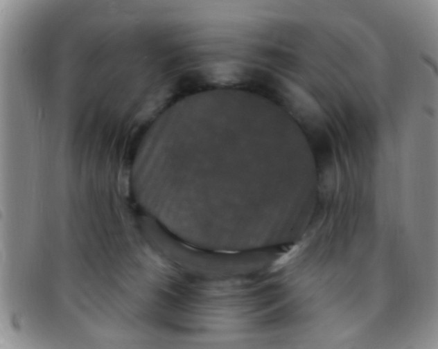 X0000097510180200803142049