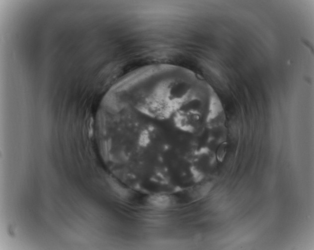 X0000097510181200803142049