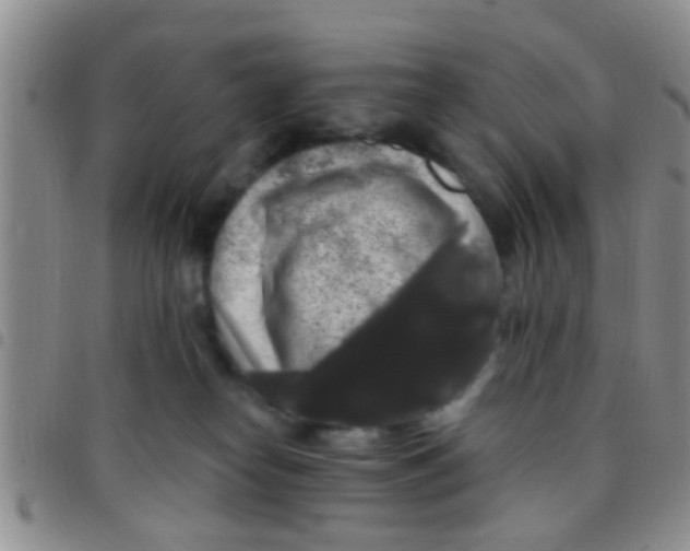 X0000097510182200803142049