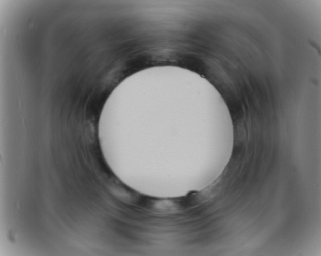 X0000097510183200803142049