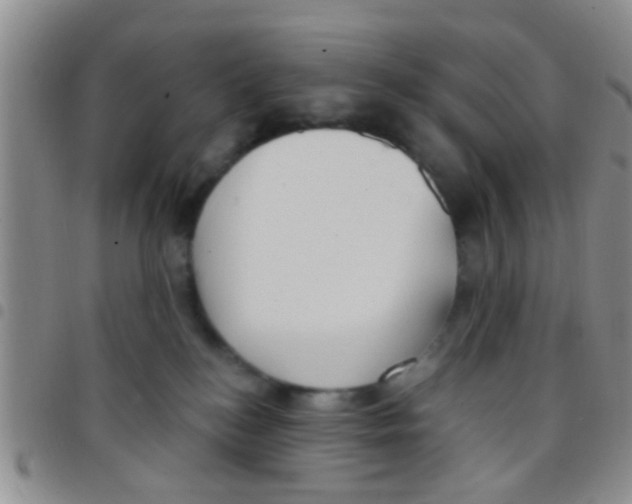 X0000097510184200803142049