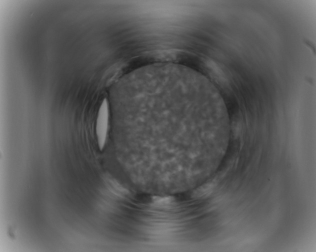 X0000097510185200803142049
