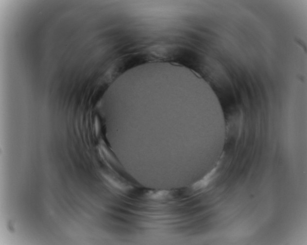 X0000097510186200803142049