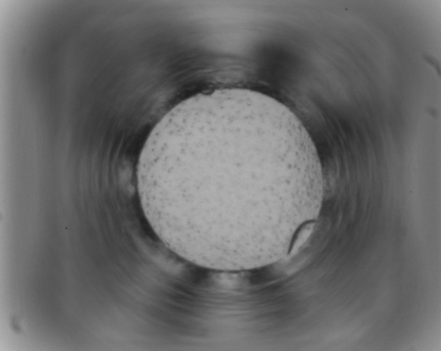 X0000097510187200803142049