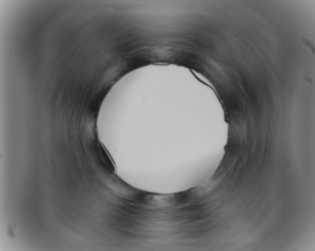X0000097510188200803142049