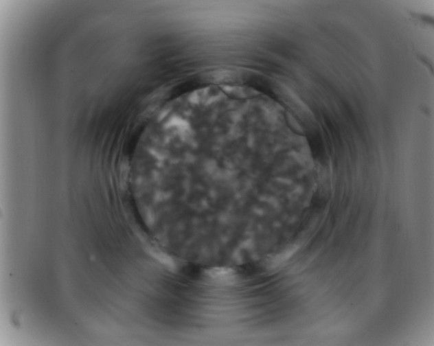 X0000097510189200803142049