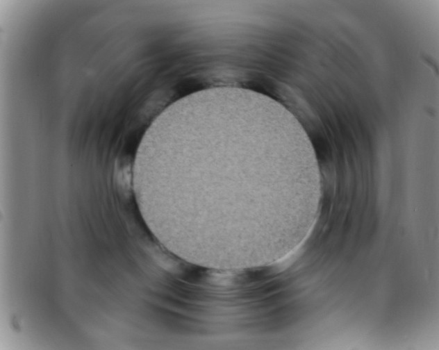 X0000097510190200803142049