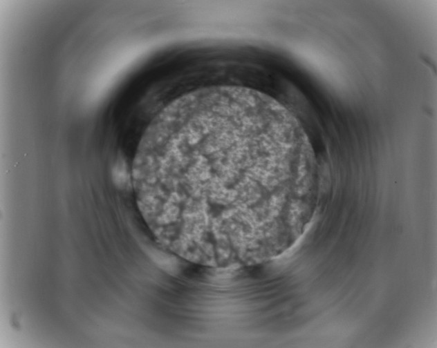 X0000097510191200803142049
