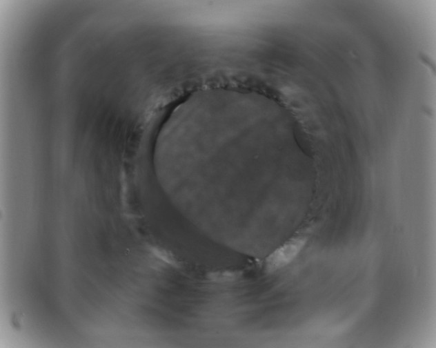 X0000097510192200803142049