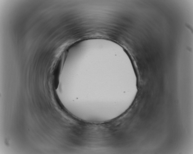 X0000097510193200803142049