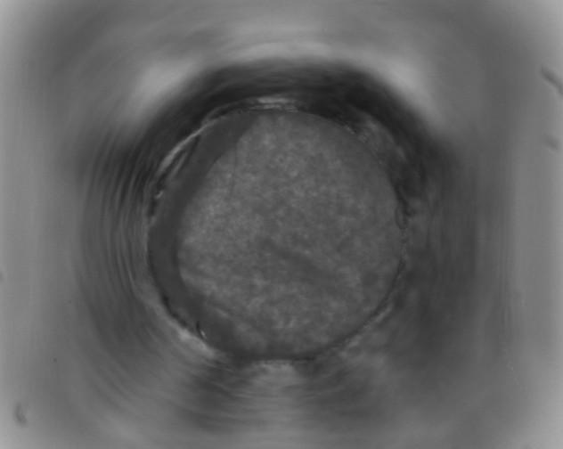 X0000097510194200803142049