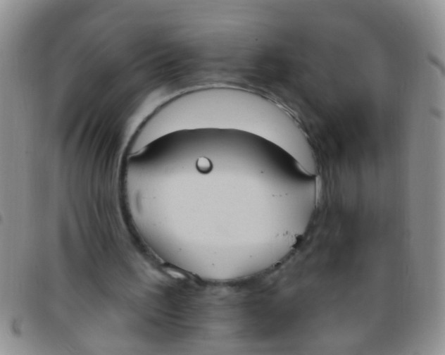 X0000097510195200803142049