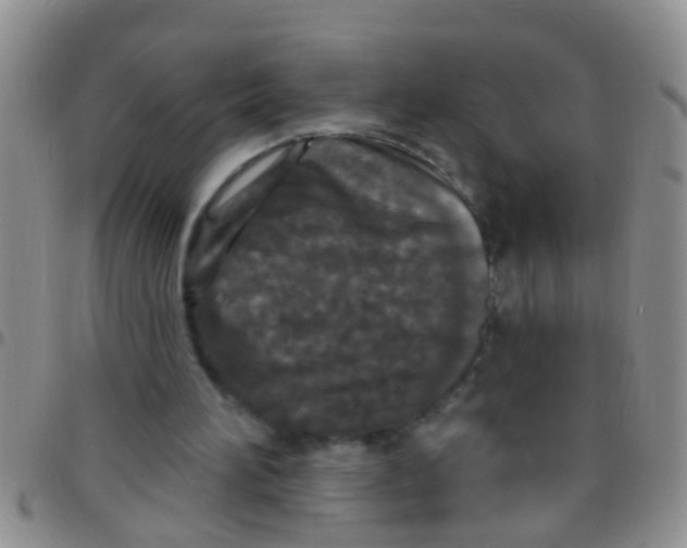 X0000097510196200803142049