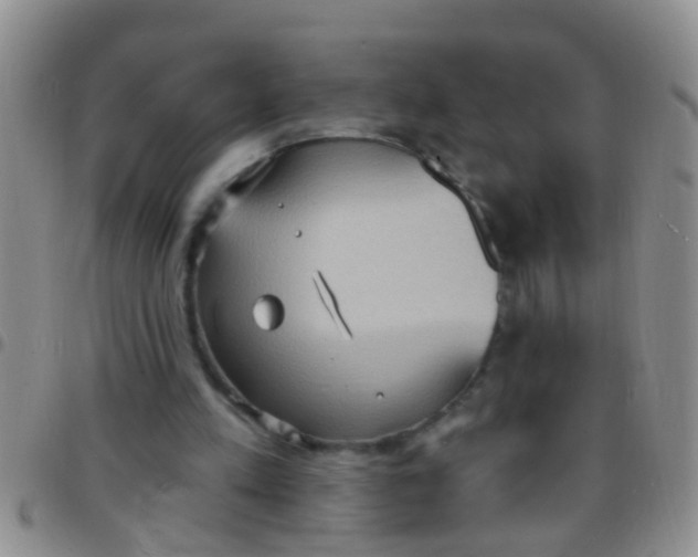 X0000097510197200803142049