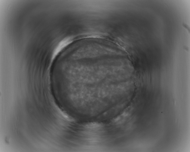 X0000097510198200803142049