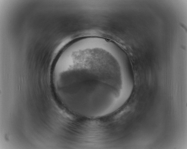 X0000097510200200803142048