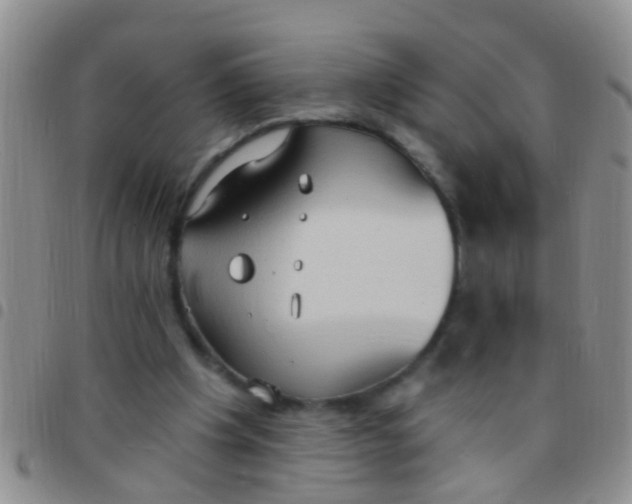 X0000097510201200803142048