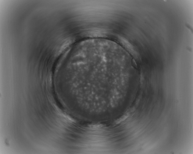 X0000097510202200803142048
