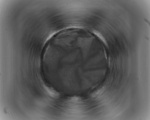 X0000097510204200803142048