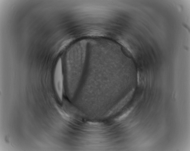 X0000097510205200803142048
