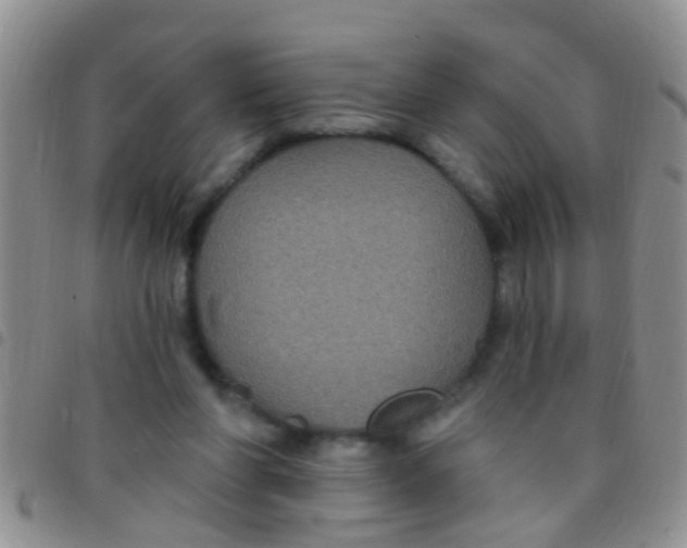 X0000097510206200803142048