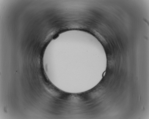 X0000097510207200803142048
