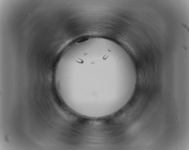 X0000097510208200803142048