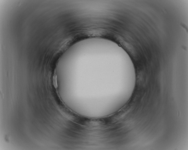 X0000097510209200803142048