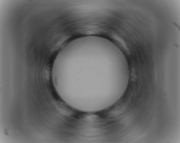 X0000097510210200803142048